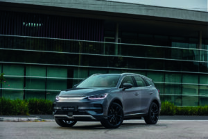 Gigante pela própria natureza