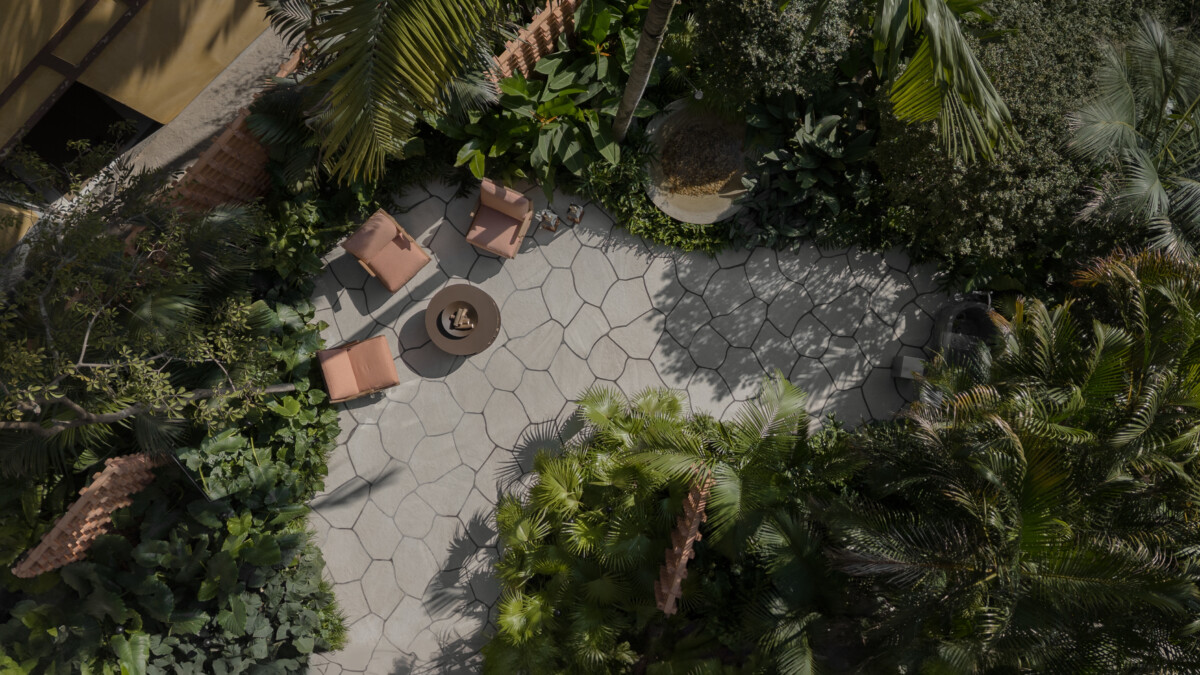 Estúdio Musgo e o projeto inédito ‘Jardim das Descobertas’