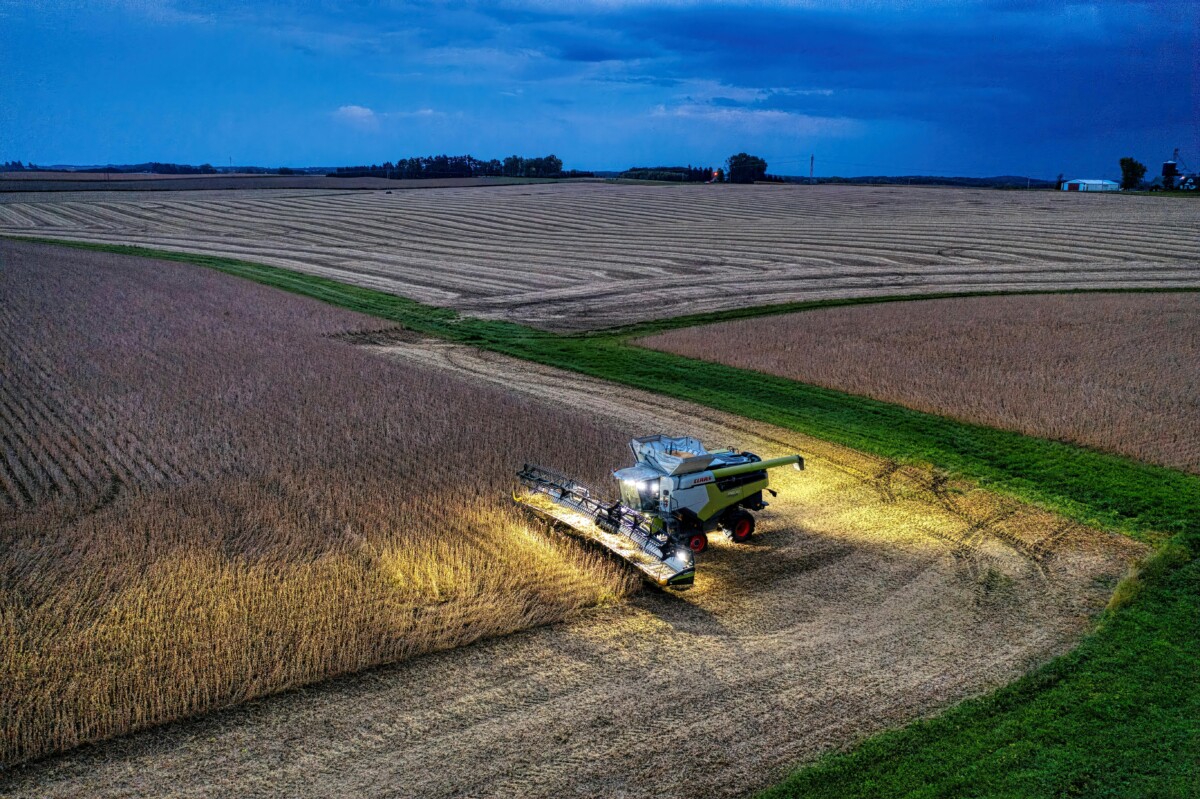 Safra recorde deve levar PIB da soja e do biodiesel a R$ 821 bi em 2025