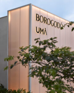 Além do mercado: a visão integrada entre imóveis, capital e inovação