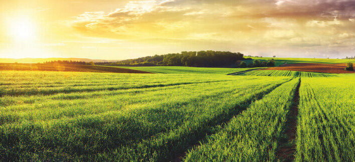 A revolução silenciosa do agronegócio