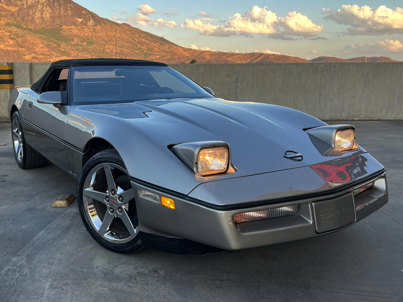 Circuito de Leilões reúne veículos clássicos em São Paulo