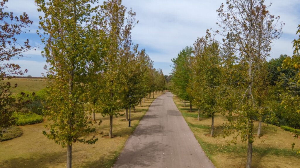 Projeto da JHSF tem paisagem inspirada no Central Park. Foto: Divulgação