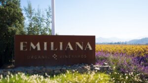 Dia da Terra com rótulos orgânicos e viticultura regenerativa