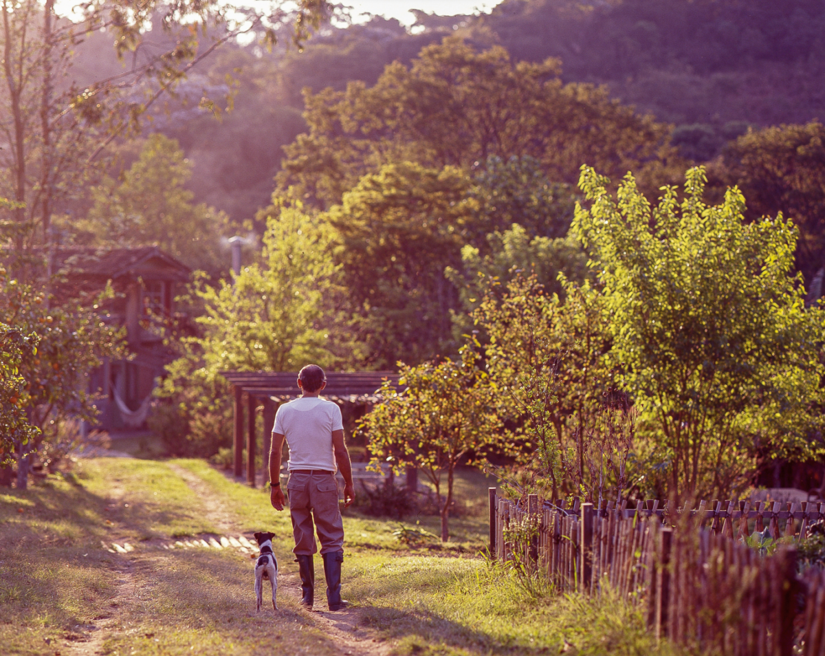 A arquitetura rural de Renato Marques de Oliveira