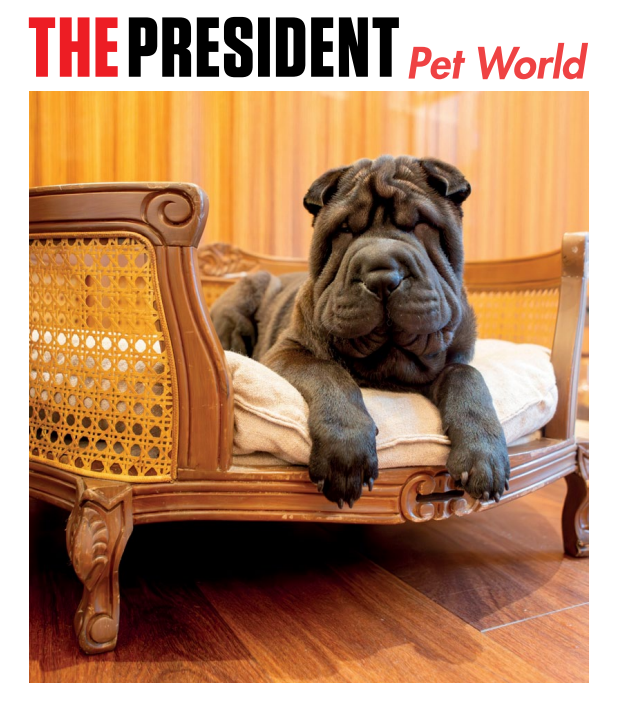 Pet World