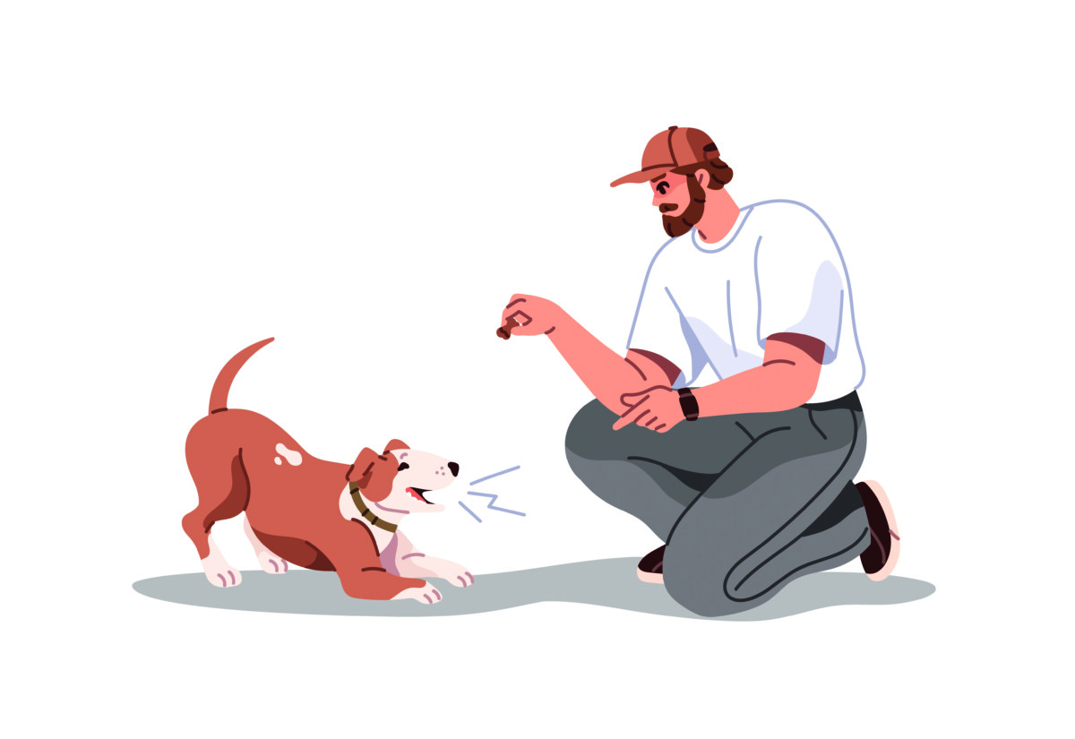 Educação para os pets